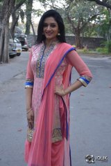 Vimala Raman At Om Namo Venkatesaya Movie Press Meet